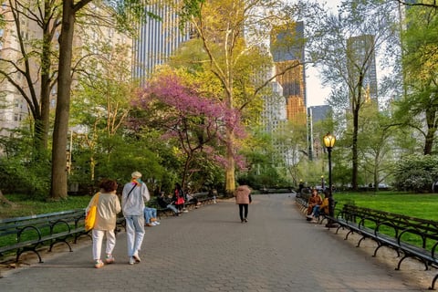 People Walking in Central Park - Image by Enrico Della Pietra / Shutterstock.com