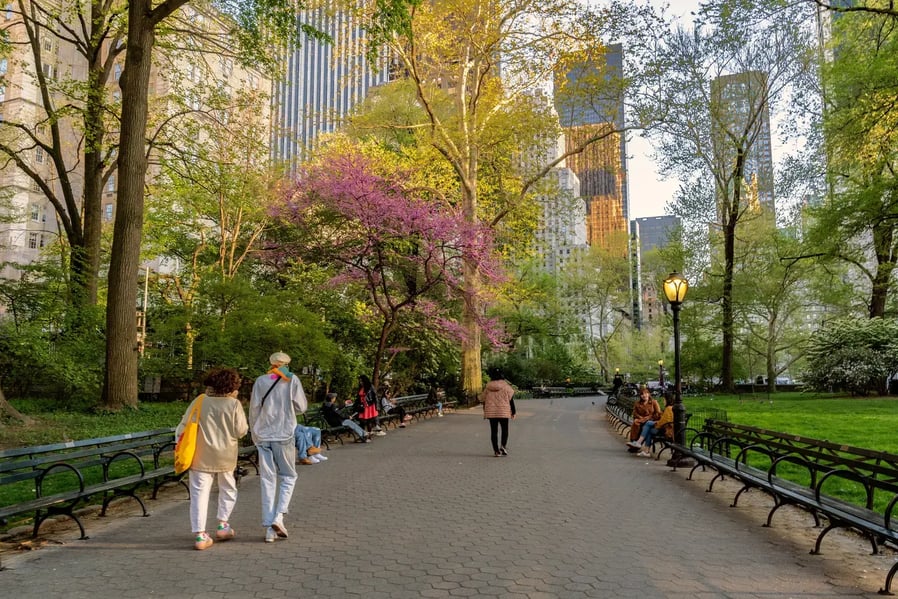 People Walking in Central Park - Image by Enrico Della Pietra / Shutterstock.com